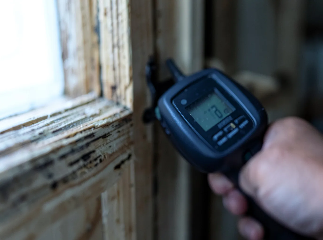 Moisture Inspection And Documentation in Barney, GA